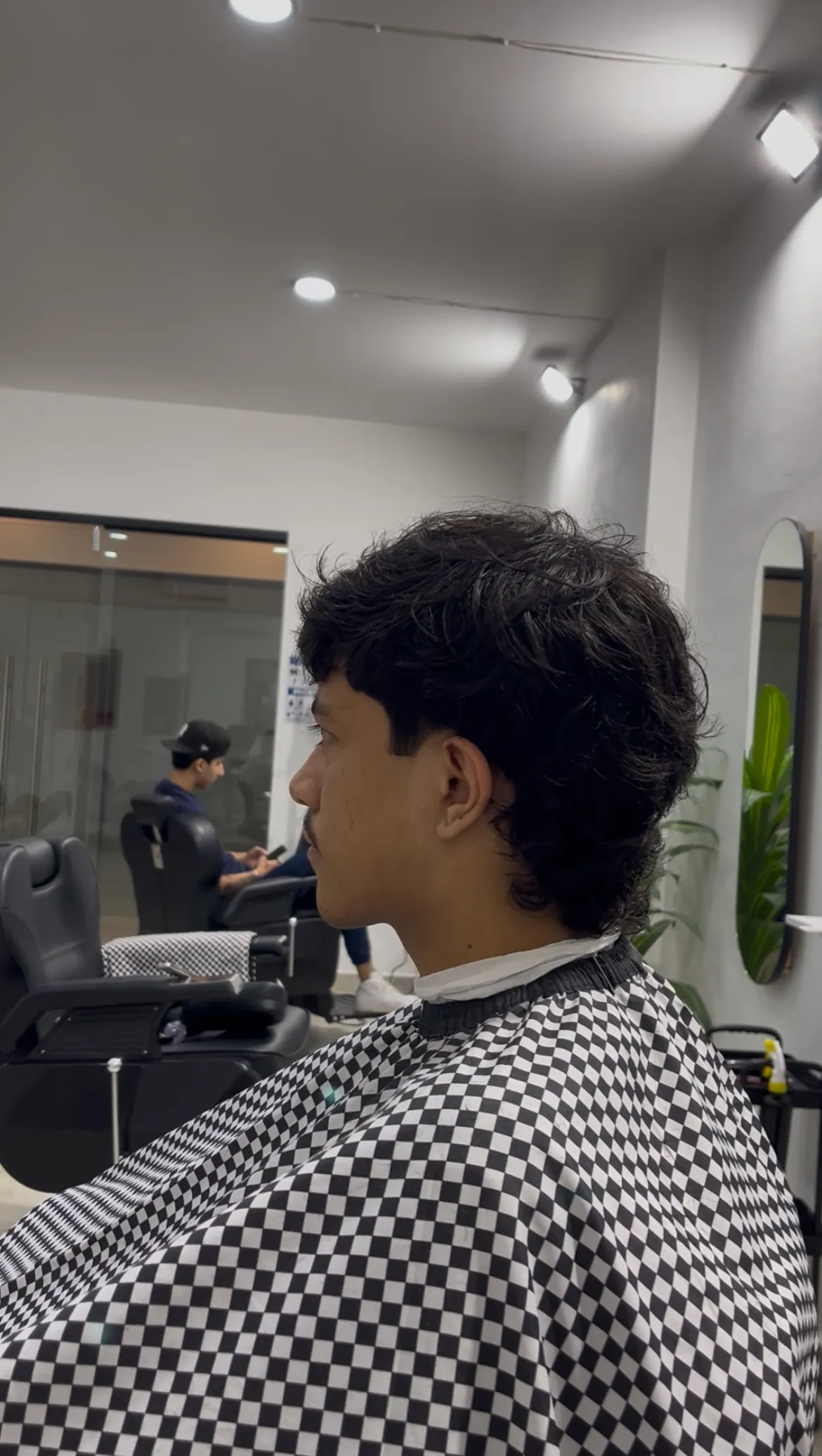 Mullet rizado, vista lateral